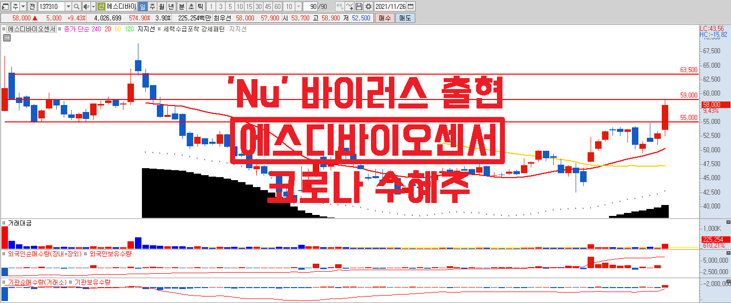  변이바이러스 'Nu' 등장, 코로나재확산 최대 수혜주 #에스디바이오센서 바이든은 한국 진단키트를 매수중