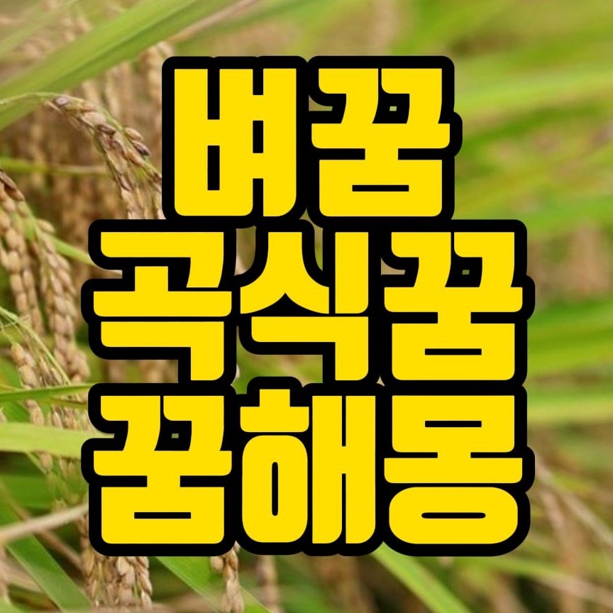  [꿈해몽] 쌀밥먹는꿈, 오곡이풍성한꿈, 곡식을쌓아놓은꿈, 쌀가마니꿈, 잡곡밥꿈, 곡식꿈 꿈풀이 35선