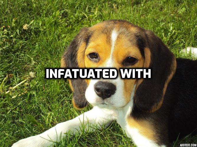  영어로 홀딱 빠졌어, 심취해 있어, 반했어 뭐라고 할까? "infatuated with"