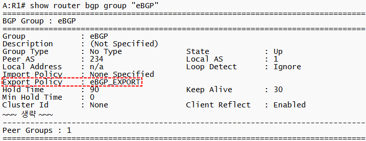 BGP-Policy-Check