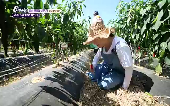 220815_발길따라 고향 기행.ts_20220823_181516.484.jpg