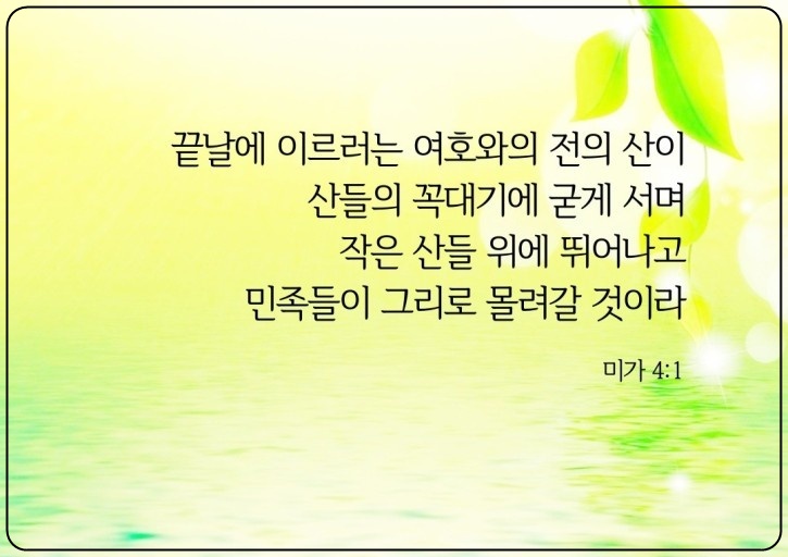 미가면 이미지