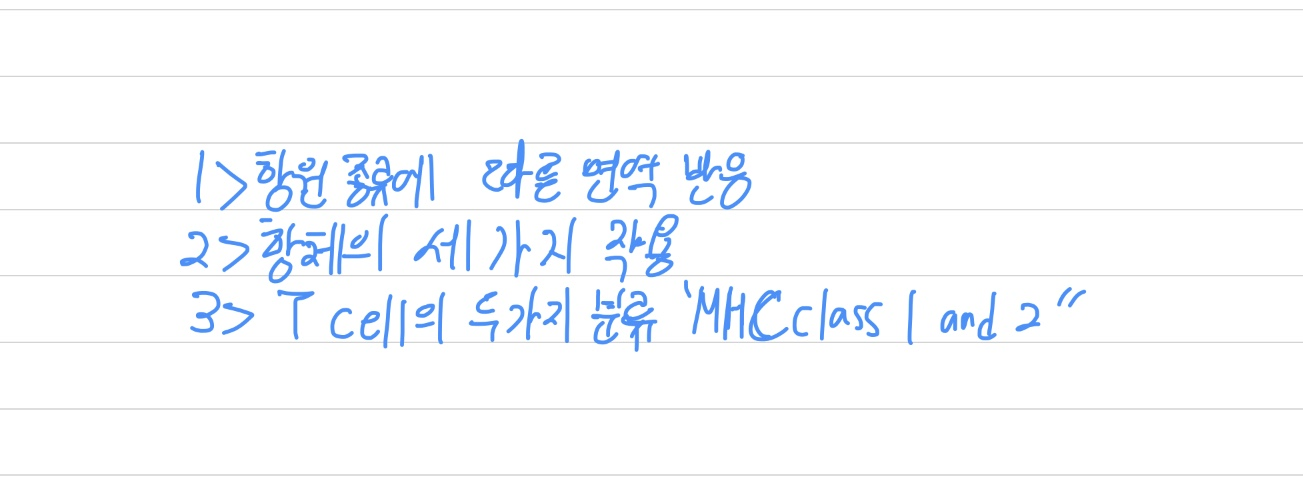  항원 종류에 따른 면역 반응과 항체의 작용, 그리고 MHC class1과 MHC class2 작용 원리