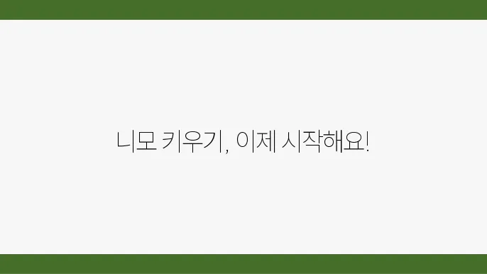 니모 키우기 가이드: 해수어항의 꾸밈과 먹이 안내