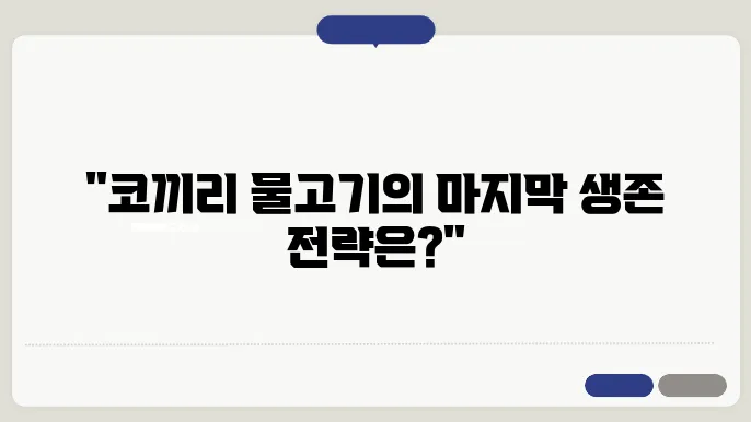 물고기,코끼리 이미지