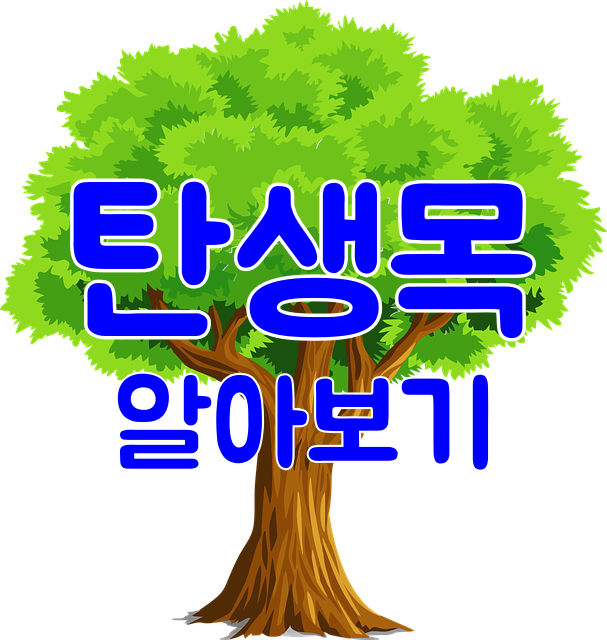  탄생목 총정리 - 나의 탄생목은?