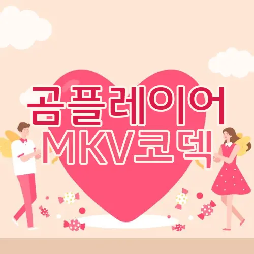 곰플레이어 MKV코덱