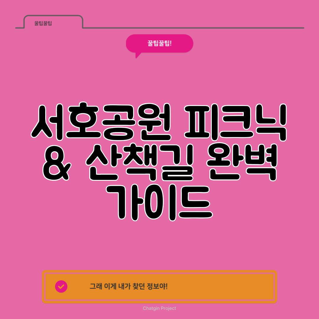 서호공원 피크닉 &amp; 산책길 완벽 가이드