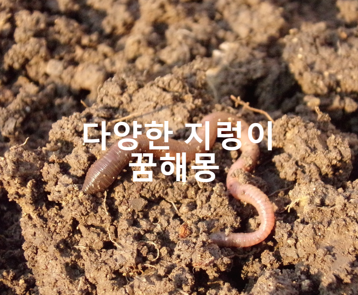  다양한 지렁이 꿈해몽