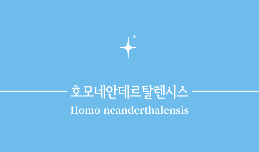 '호모 네안데르탈렌시스(Homo neanderthalensis)'
