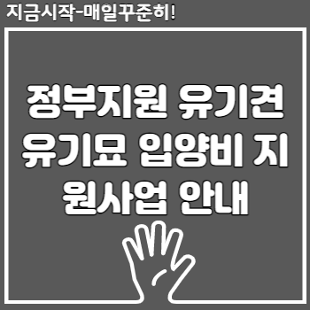 정부지원 유기견 유기묘 입양비 지원사업 안내
