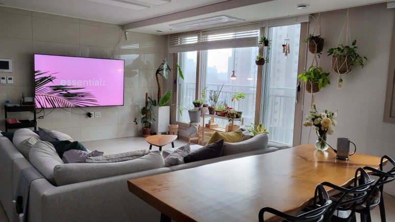 퓨처 그린 식물등으로! 10