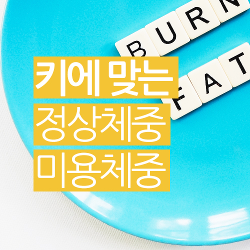  키에 맞는 정상체중, 미용체중