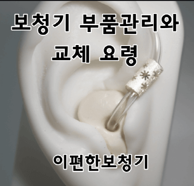  보청기 튜브, 돔, 왁스트랩 교체시기 파악하기 - 일산 이편한보청기