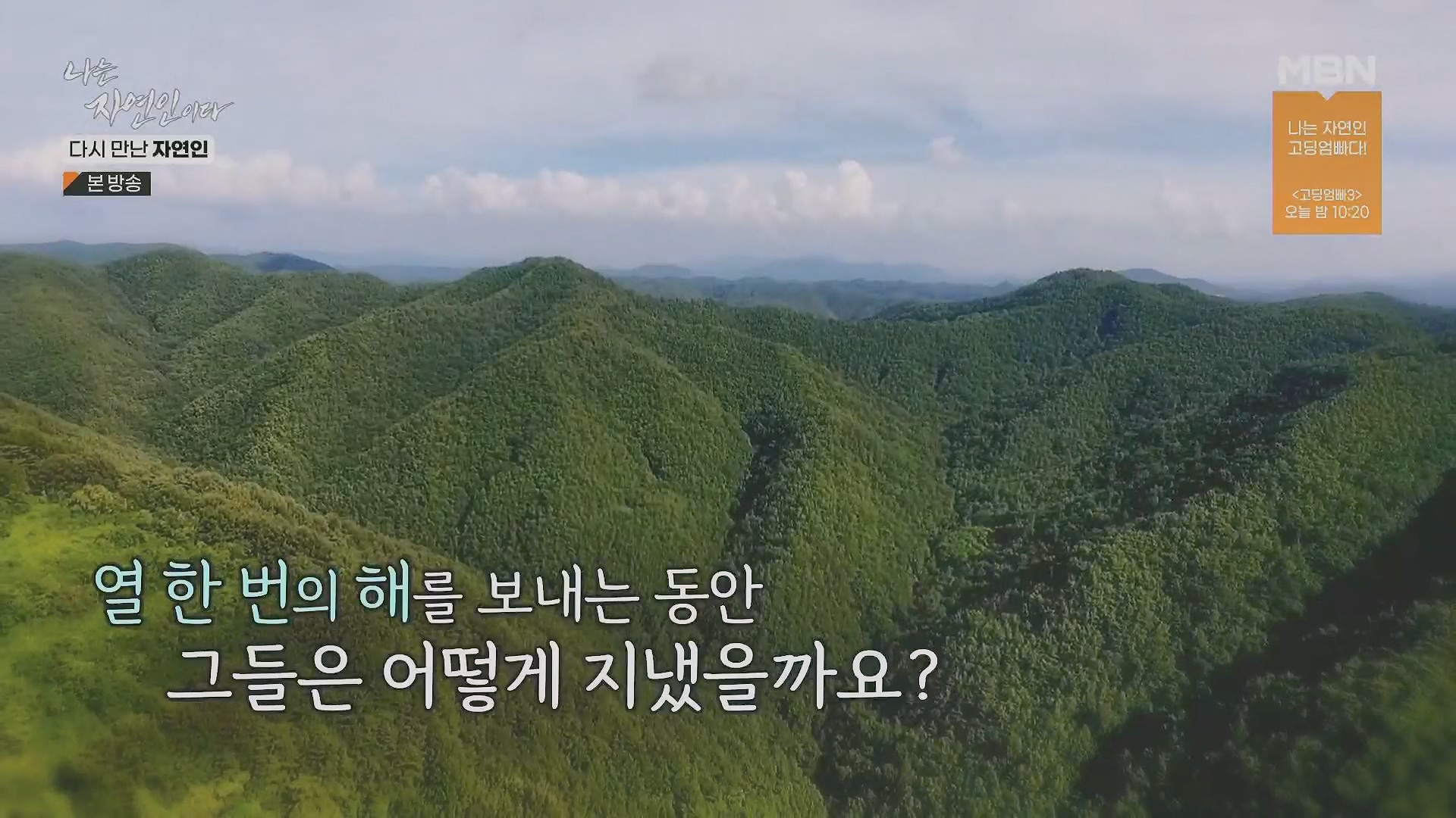 나는 자연인이다.E553.230510p.H264-F1RST.mp4_20230511_192000.016.jpg