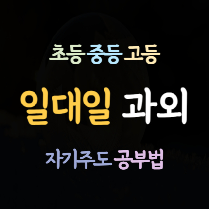  동해이도동 수학과외 북평동 중학생 영어과외 고등 중등 초등 국어과외 일대일 예비중 예비고 내신 수능
