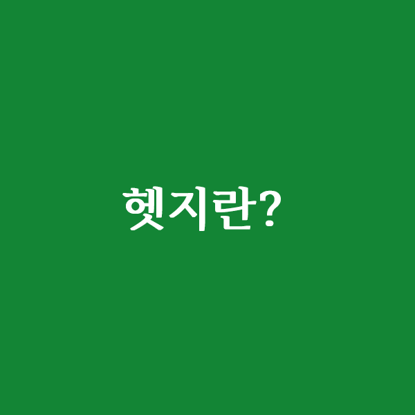  헷지란(Hedge) 어떤 뜻일까?