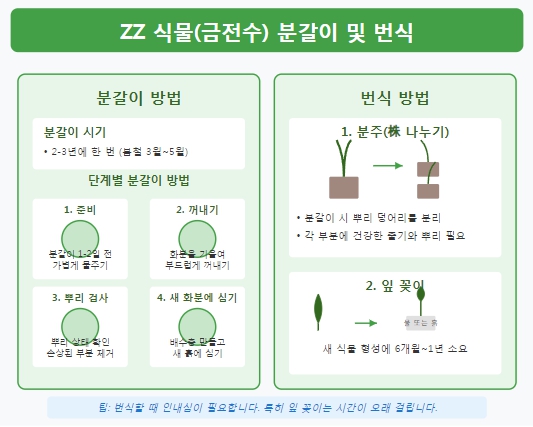 분갈이