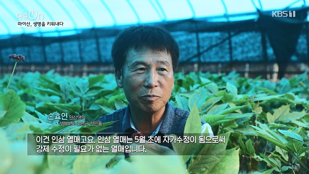 다큐 온.E215.230917p-NEXT.mp4_20230922_213551.800.jpg