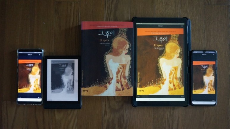 방법(ONYX BOOX POKE 3, e ink ebook reader) 오닉스 포크 3 이북 리더 구매 사용기... 초기 설정, 플레이스토어 설치 10