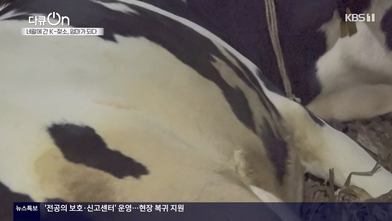 다큐 온.E241.240317p-NEXT.mp4_20240317_182815.357.jpg