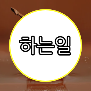 하는일