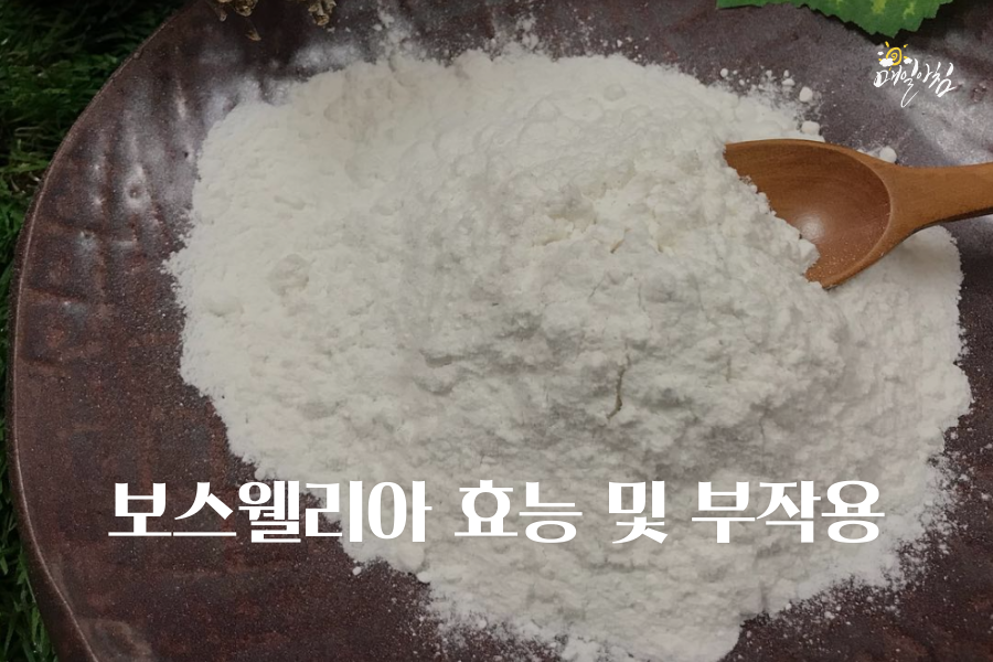  [매일아침좋은글] 보스웰리아 효능 및  부작용- 관절염과 염증에 탁월?