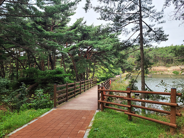 충남 걷기 좋은 숲길 국내여행 걷기 좋은 길, 10