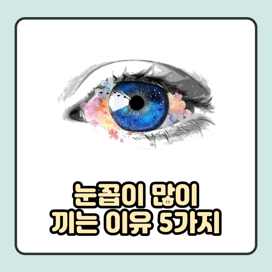 눈꼽이 끼는 이유