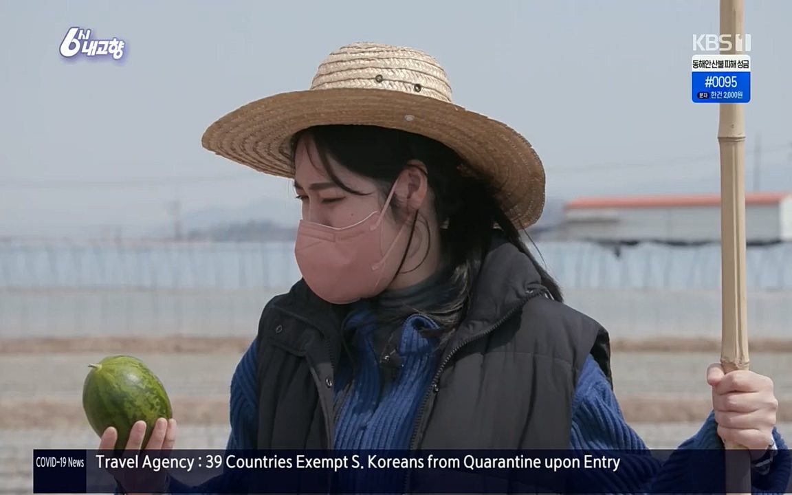 6시 내고향.E7501.220332p.H264-F1RST.mp4_20220402_201619.979.jpg