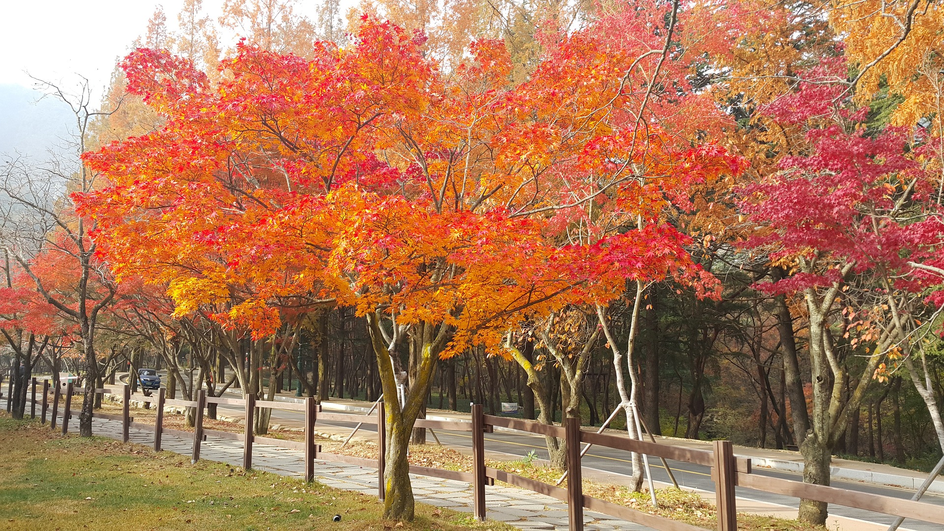 부산근교 드라이브 코스