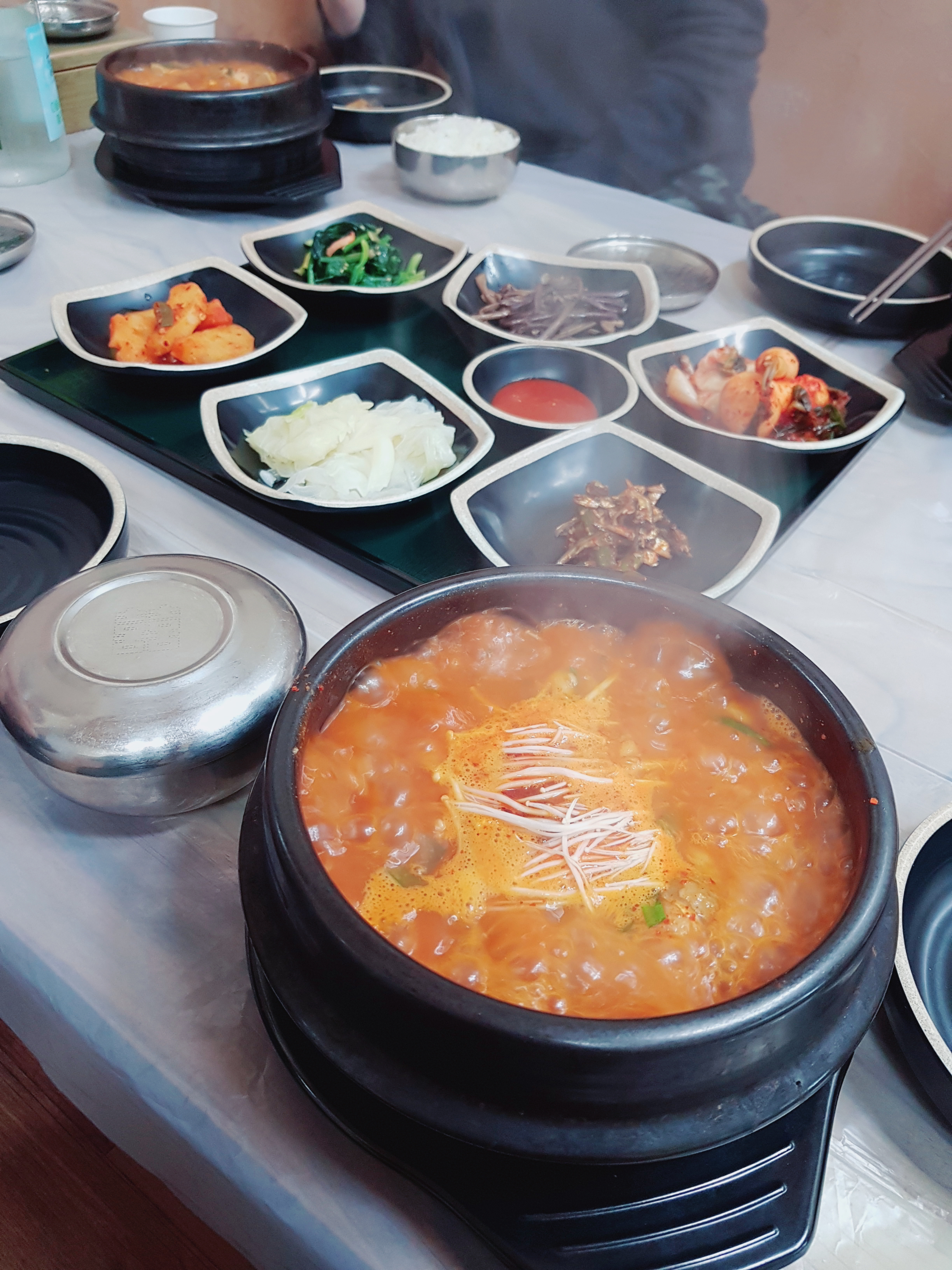 강원나물 이미지