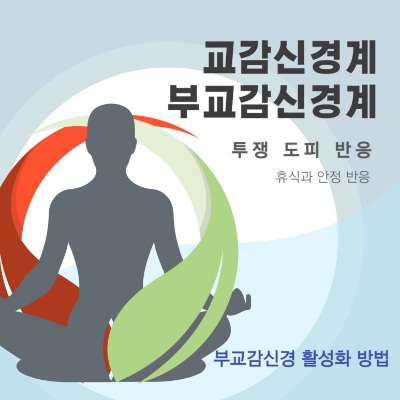 교감신경-부교감신경-활성화