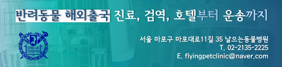 고양이갑상선기능항진증, 고양이갑기항, 개부신피질기능저하증, 개호르몬질환, 고양이호르몬질환, 개만성설사, 고양이설사만성소화기질환과 내분비질환 / 개애디슨,
