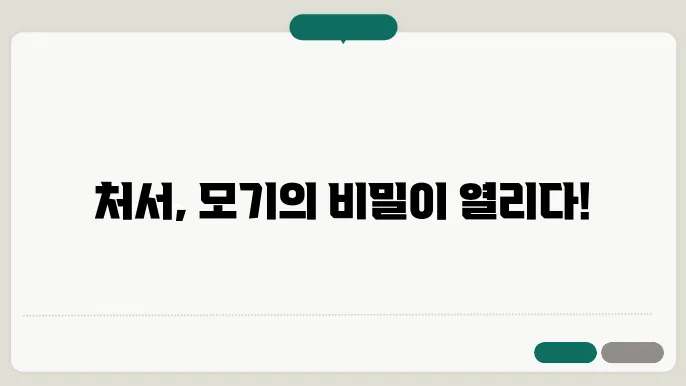 처서 모기입