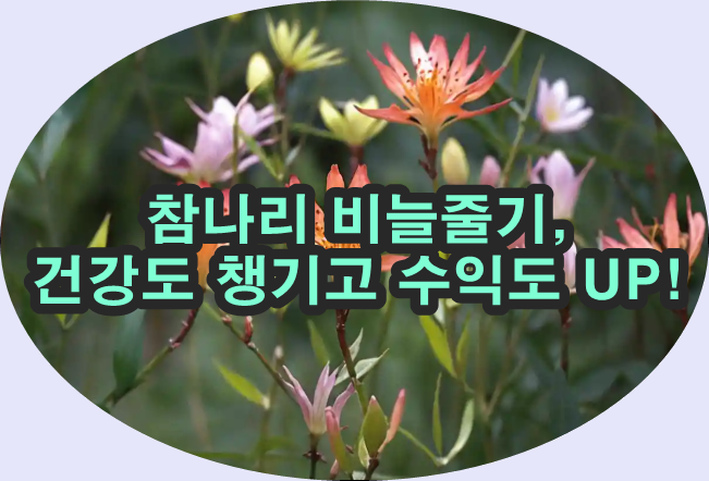 참나린 이미지