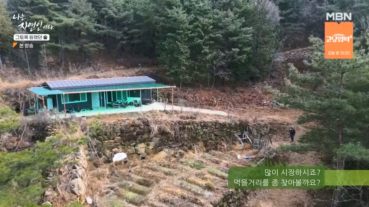 나는 자연인이다.E591.240132p-NEXT.mp4_20240201_195741.731.jpg