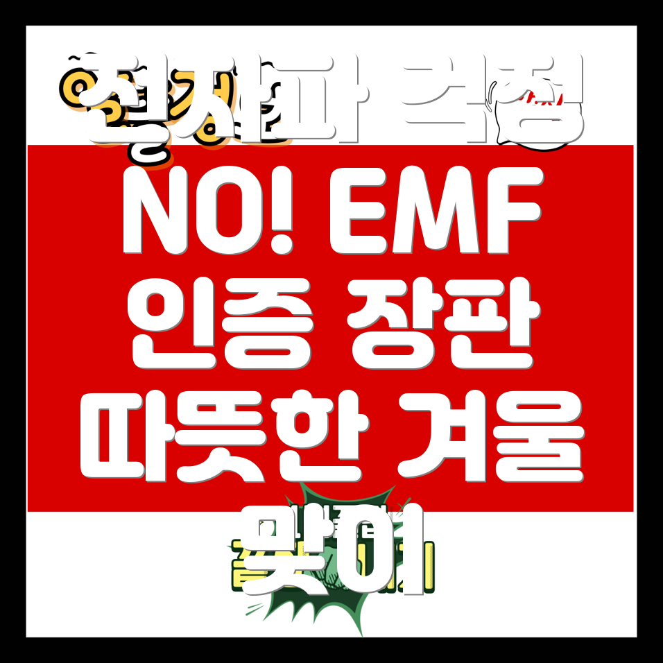 전자파 걱정 없는 따뜻한 겨울, EMF 인증 전기장판 선택이 중요한 이유