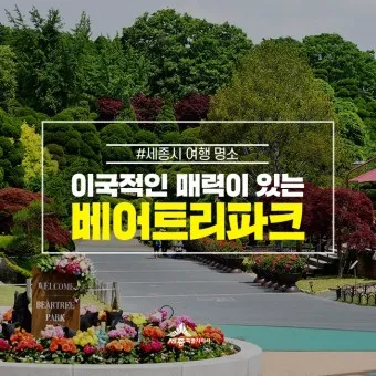 세종 가볼만한곳 베스트10 여행 놀거리 맛집 알아보기_33