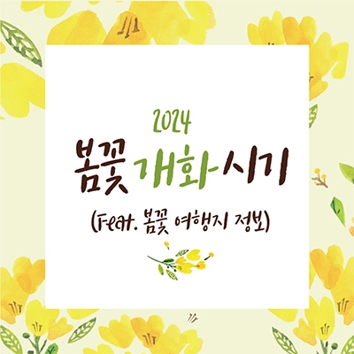 2024봄꽃개화시기