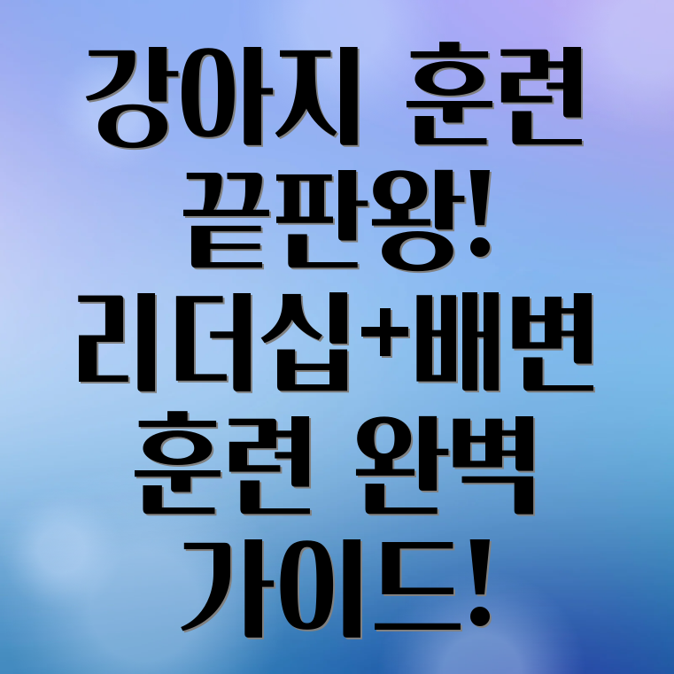 퍼피 훈련