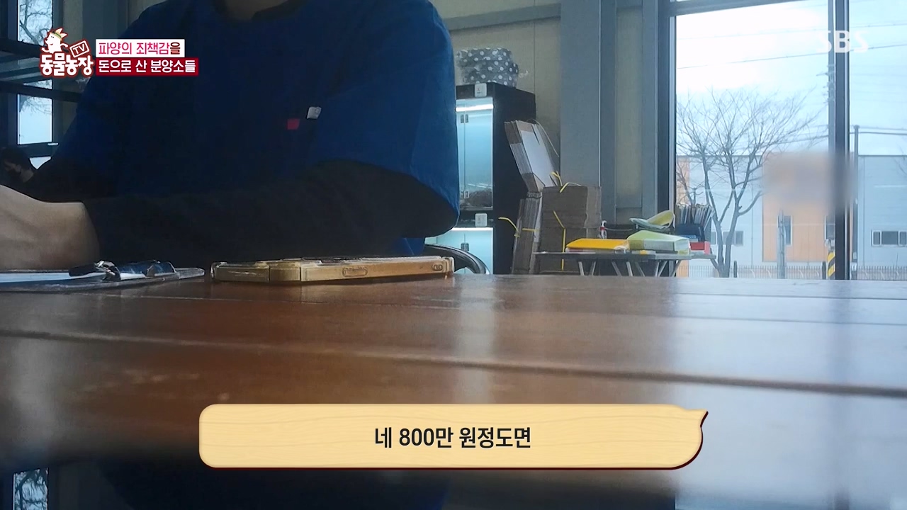 TV 동물농장.E1122.230529p-NEXT.mp4_20230528_170305.945.jpg