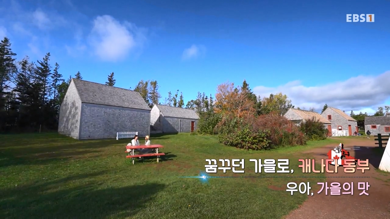 세상의모든기행꿈꾸던 가을로 캐나다 동부-우아, 가을의 맛.mp4_20231205_200755.952.jpg