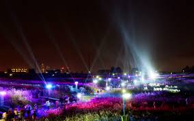 서울 하늘공원 억새축제