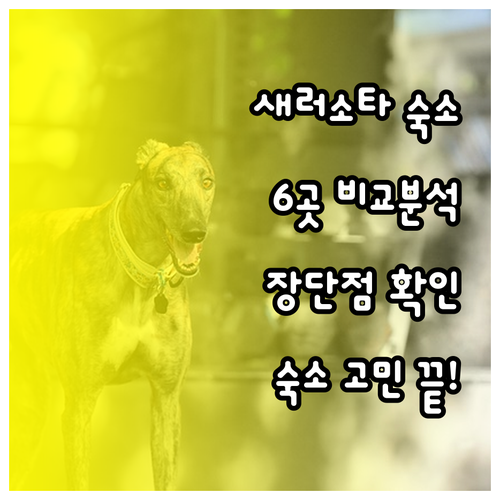 새러소타 숙소 고민? 6곳의 장단점과