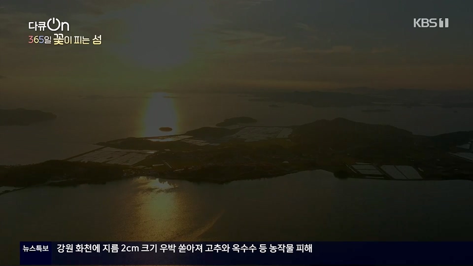 다큐 On.E201.230610p.H264-F1RST.mp4_20230611_165943.860.jpg