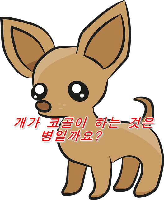  강아지가 코골이 하는 것은 병일까요?