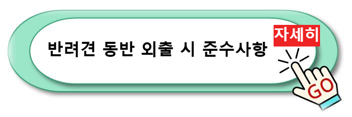 반려견 동반 외출 시 준수사항 자세히 알아보기