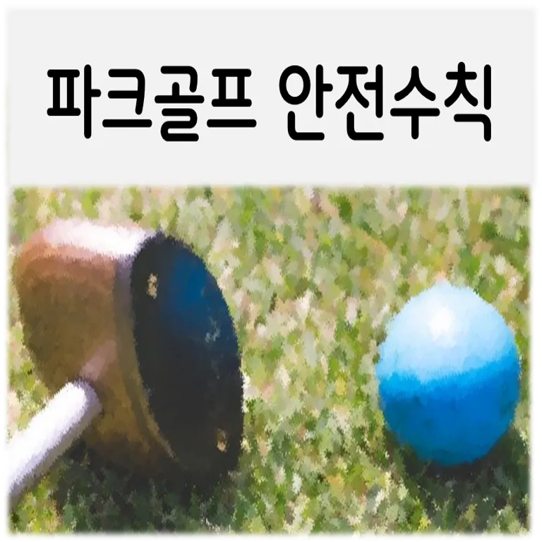  파크골프 안전수칙, 안전조치