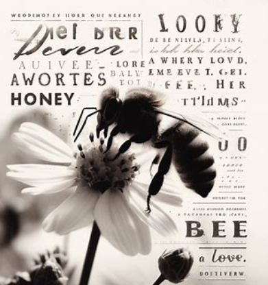 Sylvia Plath&#39;s Bee-Inspired Artistry A Journey into Her Muse